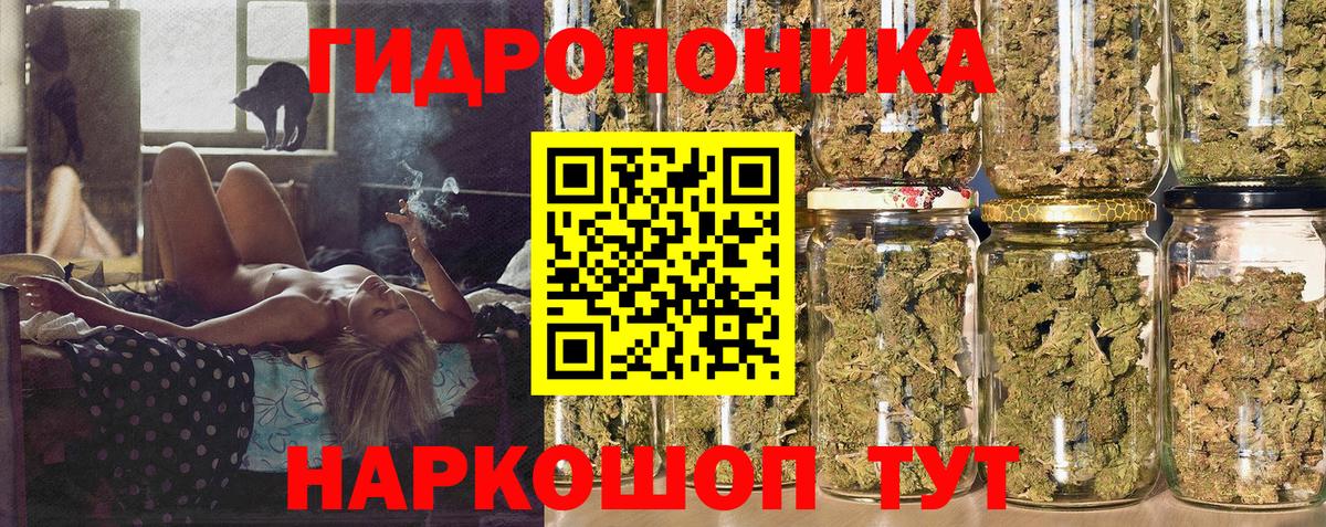 Конопля сатива  Каннабис индика  Коркино  Каннабис ГИДРОПОН  Вход с VPN 